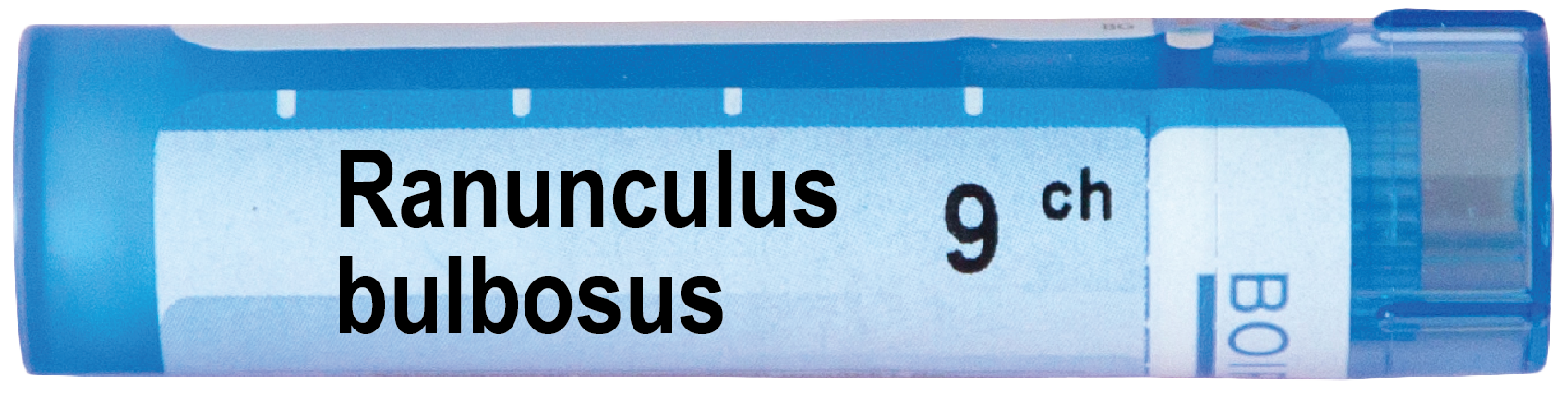 Ranunculus Bulbosus 9 CH